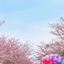 贵阳旅游 缩略图 1