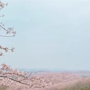 贵阳旅游 缩略图 4