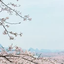 贵阳旅游 缩略图 3
