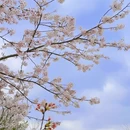 贵阳旅游 缩略图 2