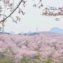 贵阳旅游 缩略图 5
