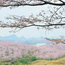 贵阳旅游 缩略图 6
