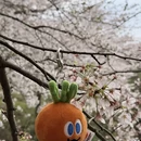 安顺旅游 缩略图 7