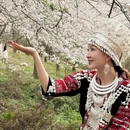 安顺旅游 缩略图 1