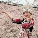 安顺旅游 缩略图 10