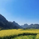 安顺旅游 缩略图 13