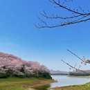 安顺旅游 缩略图 12