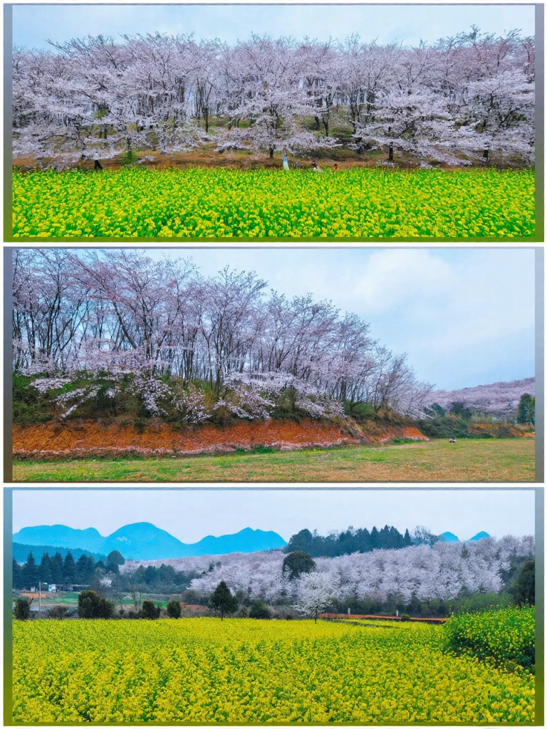 安顺旅游