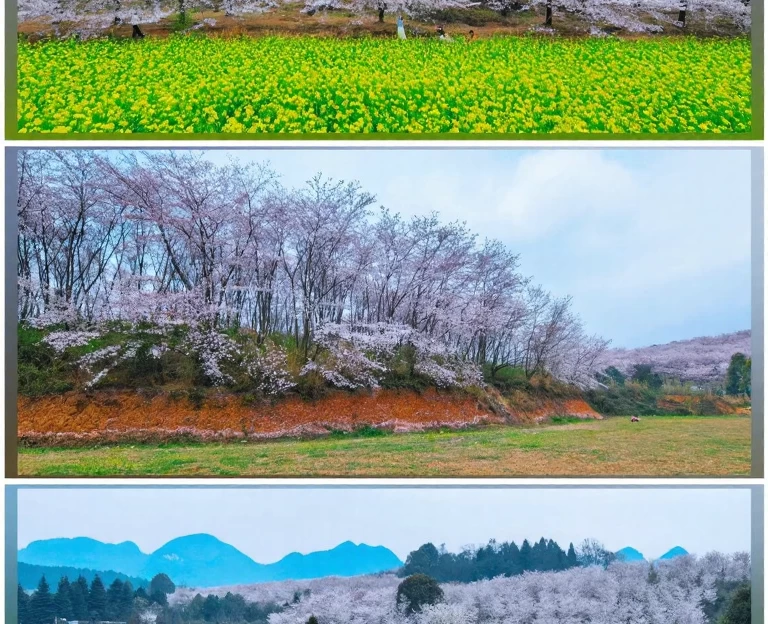 安顺旅游 1