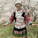 安顺旅游 缩略图 5