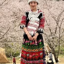 安顺旅游 缩略图 11