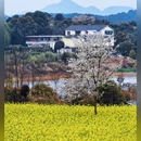 安顺旅游 缩略图 4