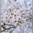 安顺旅游 缩略图 8