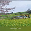 安顺旅游 缩略图 12