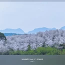 安顺旅游 缩略图 13