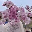 桂林旅游 缩略图 5