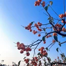 桂林旅游 缩略图 4