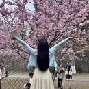 桂林旅游 缩略图 1