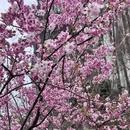桂林旅游 缩略图 4