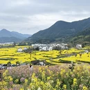 黄山旅游 缩略图 1