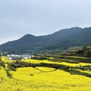 黄山旅游 缩略图 3