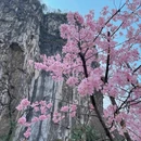 桂林旅游 缩略图 1