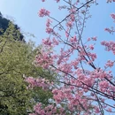 桂林旅游 缩略图 4