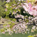 桂林旅游 缩略图 6