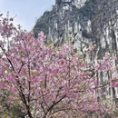 桂林旅游 缩略图 7