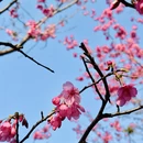 桂林旅游 缩略图 2