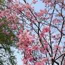桂林旅游 缩略图 10