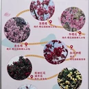 桂林旅游 缩略图 1