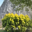 桂林旅游 缩略图 4