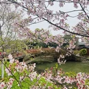 桂林旅游 缩略图 1