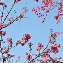 桂林旅游 缩略图 3
