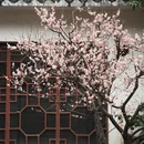 桂林旅游 缩略图 9