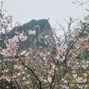 桂林旅游 缩略图 4