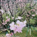 桂林旅游 缩略图 8