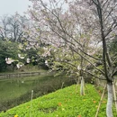 桂林旅游 缩略图 2