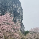 桂林旅游 缩略图 7