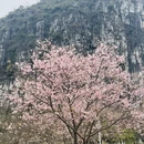 桂林旅游 缩略图 6