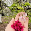 桂林旅游 缩略图 10