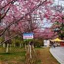 桂林旅游 缩略图 7