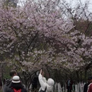 桂林旅游 缩略图 18