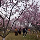桂林旅游 缩略图 11