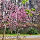 桂林旅游 缩略图 6