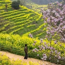 上饶旅游 缩略图 3