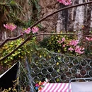 桂林旅游 缩略图 5
