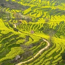 上饶旅游 缩略图 7