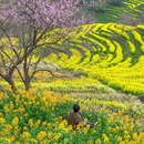 上饶旅游 缩略图 2